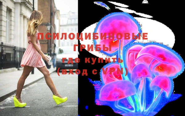 apvp Абаза