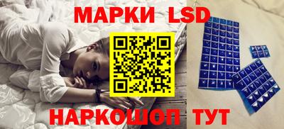 скорость Бийск