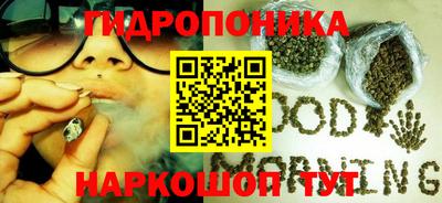 скорость Бийск