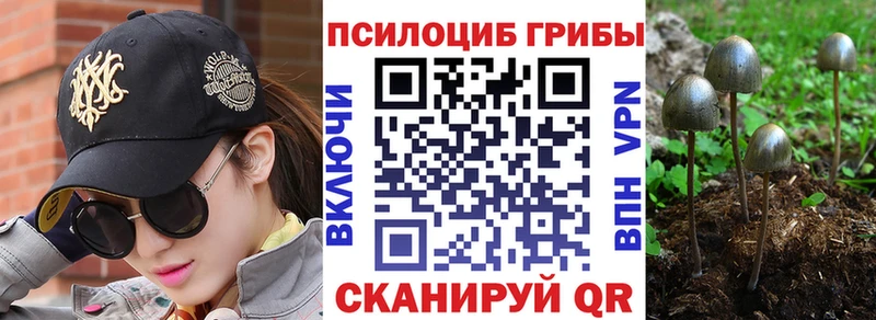 сайты даркнета клад omg как зайти Псилоцибиновые грибы Psilocybe Волжский купить