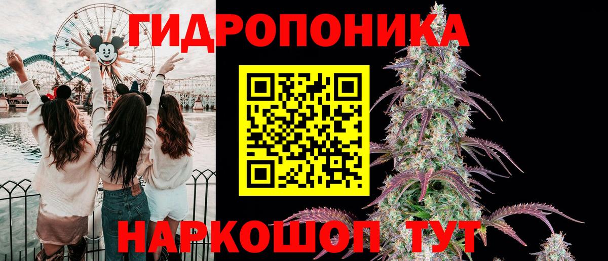 Бошки марихуана планчик  Марихуана индика  МАРИХУАНА AK-47  Вход с VPN  Канабис марихуана  Волжский 